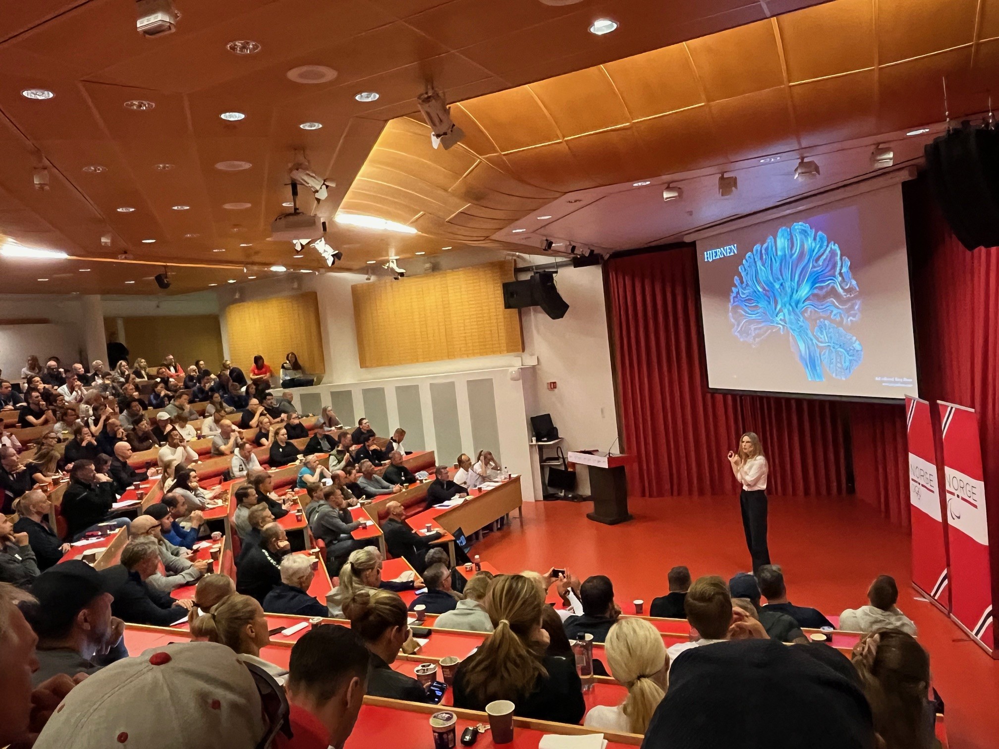Første innlegg på seminaret var om «Ungdomshjernen»ved Marte Roa Syvertsen. Hun stilte spørsmålet «Hvorfor er ungdomshjernen så spesiell?». Roa Syvertsen er lege og hjerneforsker med lidenskap for nevrologi og hjernens kompleksitet. 